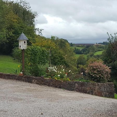 Immaculate 1-Bed Lodge Newton Abbot Torquay Kingskerswell Eksteriør bilde